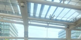 香港工程院聚焦AI生物科技 致力培育年青新一代發展