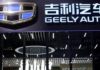 小編金子 : 吉利的老樹新枝