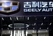 小編金子 : 吉利的老樹新枝