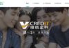 唐人 : 國際化布局穩步推進 維信金科可持續發展