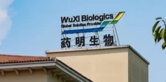 張智威 : 午後收復失地 藥明系領漲藍籌