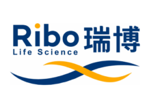 半新股尋寶 : 瑞博生物小核酸平台被低估?