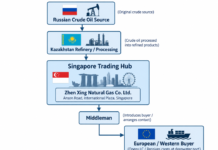 The Illusion of Compliance: How 「Briefcase Companies」 Weaponize Free Ports to Evade Global Sanctions
