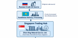The Illusion of Compliance: How 「Briefcase Companies」 Weaponize Free Ports to Evade Global Sanctions